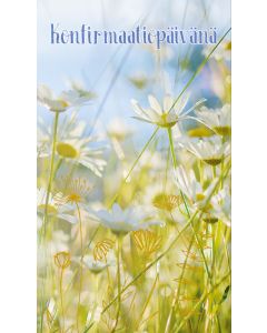 2-osainen rippi rahakuori