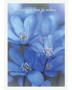 Postikortti kevät
