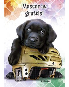 Postikortti lasten onnittelu ruotsinkielinen