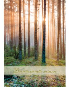 Suruadressi Salo Roosa nauha