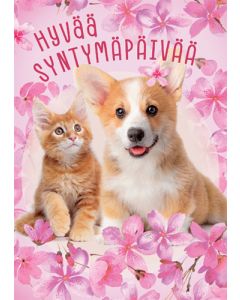 Postikortti syntymäpäivä