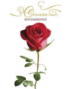 2-osainen syntymäpäiväkortti