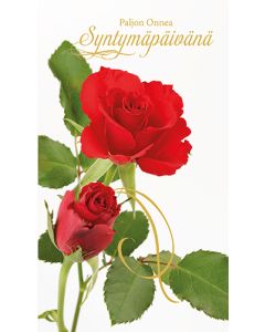 2-osainen syntymäpäiväkortti