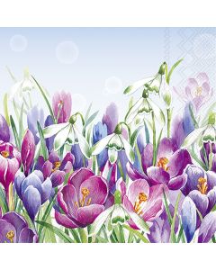 CROCUS light blue Lautasliina 33cm