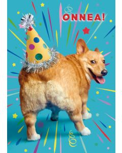 Postikortti hupi Avanti