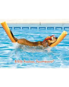 Postikortti hupi Avanti