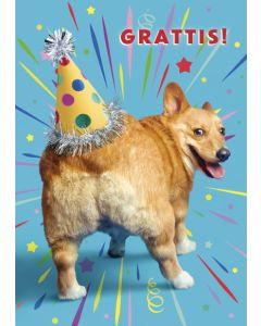 Postikortti hupi ruotsinkielinen Avanti