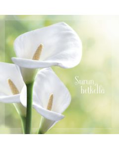 2-osainen adressikortti Kalla SPR