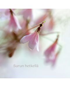 2-osainen adressikortti Unicef