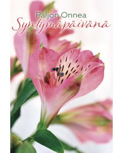 Pakettikortti syntymäpäivä