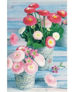 Pakettikortti tekstitön