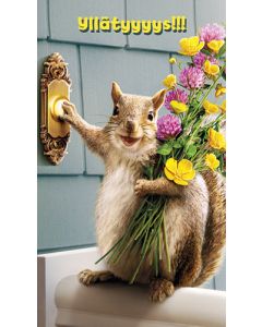 2-osainen hupikortti Avanti