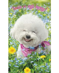 2-osainen hupikortti Avanti