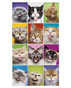 2-osainen hupikortti Avanti