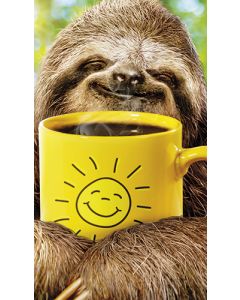 2-osainen hupikortti Avanti