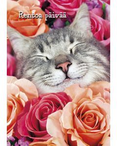 Postikortti hupi Avanti