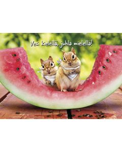 Postikortti hupi Avanti