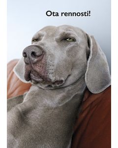 Postikortti hupi Avanti