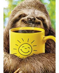 Postikortti hupi Avanti