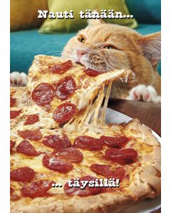 Postikortti hupi Avanti