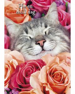 Postikortti hupi Avanti ruotsinkielinen