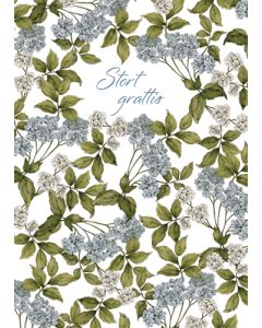 Postikortti Catherine Lewis ruotsinkielinen