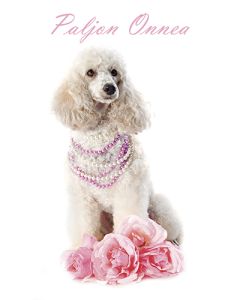 2-osainen onnittelukortti setelitasku