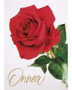 Postikortti onnittelu