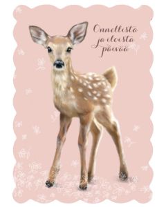 Postikortti Hanna-Maria Mainelakeus