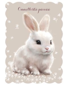 Postikortti Hanna-Maria Mainelakeus