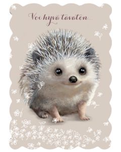 Postikortti Hanna-Maria Mainelakeus