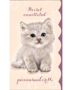 2-osainen kortti Hanna-Maria Mainelakeus