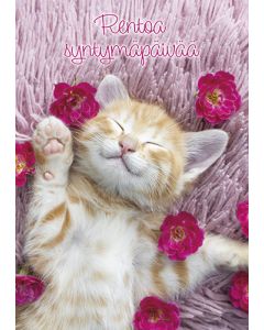 Postikortti syntymäpäivä