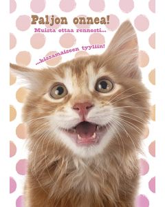 Postikortti kissa