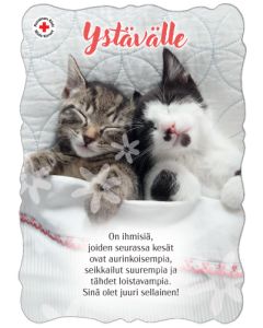 Ystävänpäiväkortti Suomen Punainen Risti postimaksu maksettu