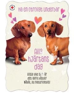 Ystävänpäiväkortti Suomen Punainen Risti ruotsinkielinen postimaksu maksettu