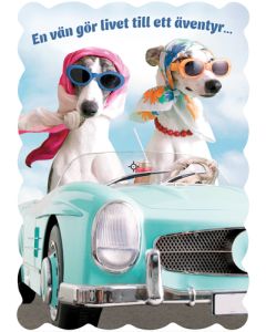 Ystävänpäiväkortti ruotsinkielinen Hallmark