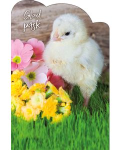 Pääsiäiskortti stanssattu ruotsinkielinen Jorma Jämsen