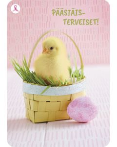 Pääsiäiskortti Syöpäsäätiö Roosa nauha postimaksu maksettu