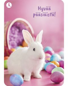 Pääsiäiskortti Syöpäsäätiö Roosa nauha postimaksu maksettu