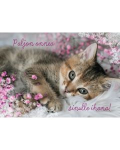 Postikortti onnittelu