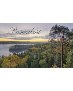 Lahjakorttipakkaus ruotsinkielinen