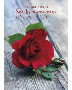 Postikortti syntymäpäivä