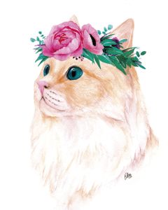 1-os kortti Elisa Parto