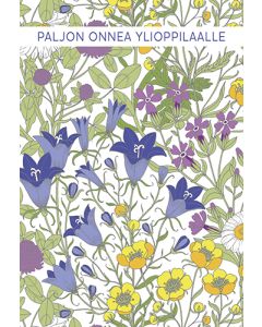 2-osainen ylioppilaskortti Vallila Ahomaa