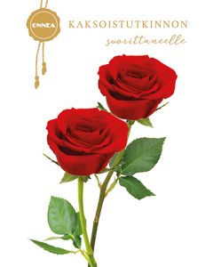 2-osainen kortti kaksoistutkinto