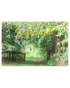 2-osainen ylioppilas rahakuori Jorma Jämsen