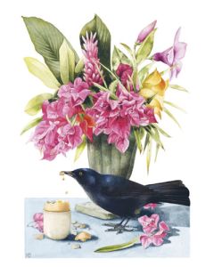 Postikortti Marjolein Bastin tekstitön