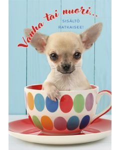 2-osainen onnittelukortti