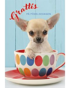 2-osainen onnittelu ruotsinkielinen